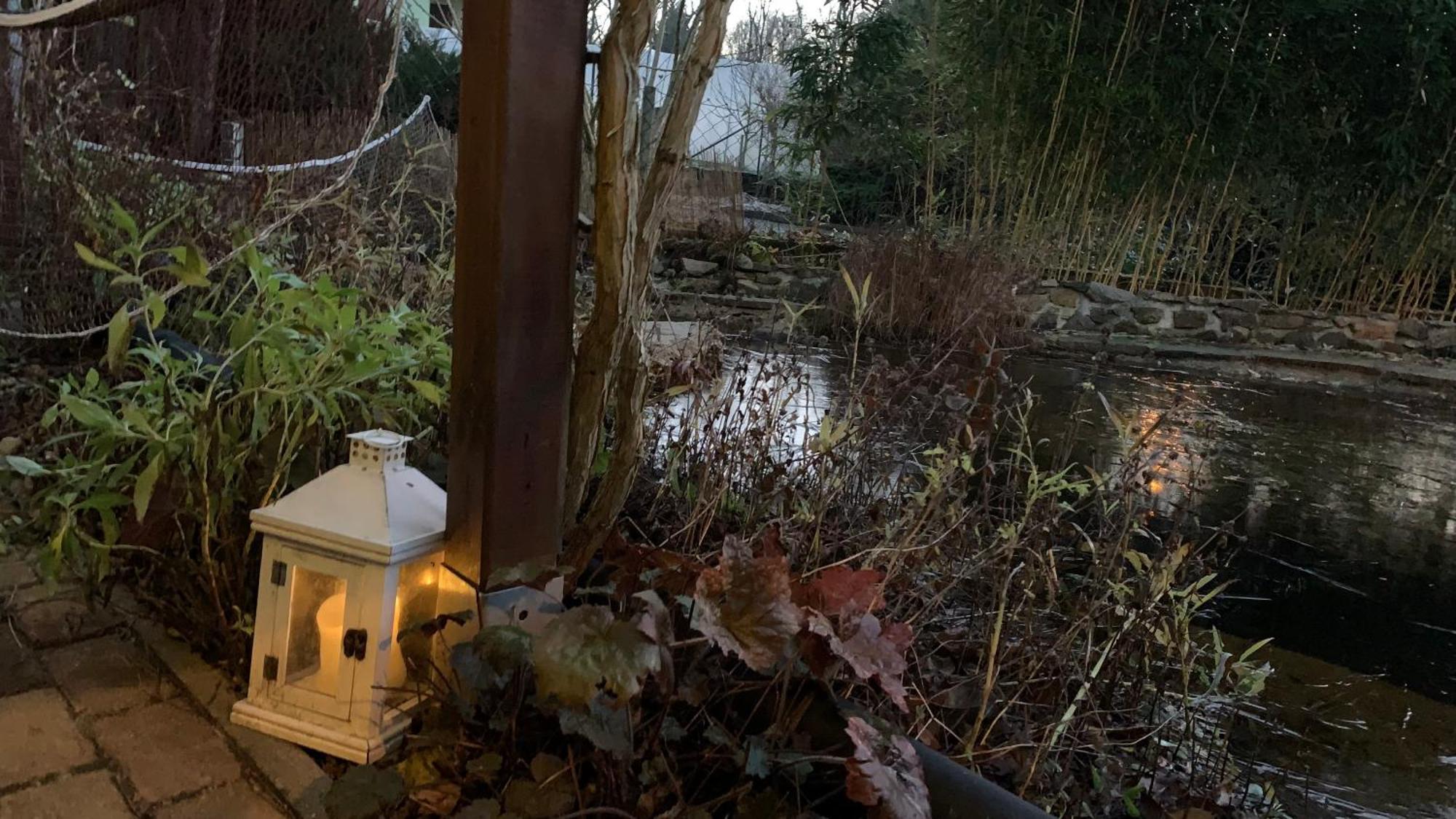 Strandlust Doebeln - Bungalow Fuer Eine Gemuetliche Auszeit Exterior foto